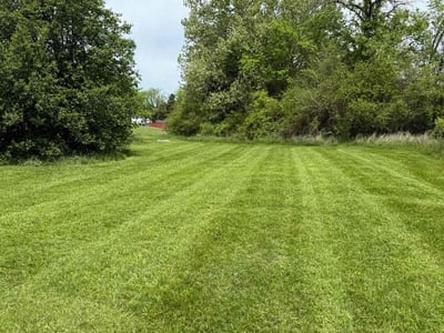Lawn Care service in Horn Lake, 37160