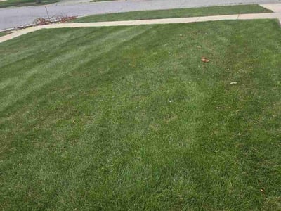 Lawn Care service in Portage, 46368