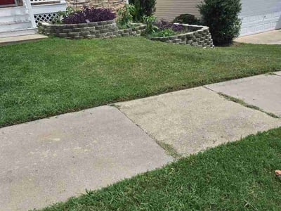Lawn Care service in Kenly, 27542