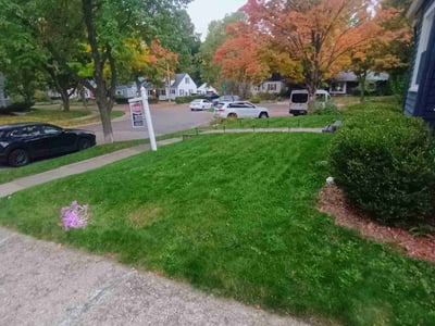 Lawn Care service in Ann Arbor, 48104
