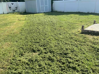 Lawn Care service in Milpitas, 95035