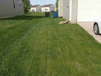 Lawn Care service in Ann Arbor, 48104