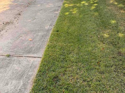 Lawn Care service in Wake Forest, 27587
