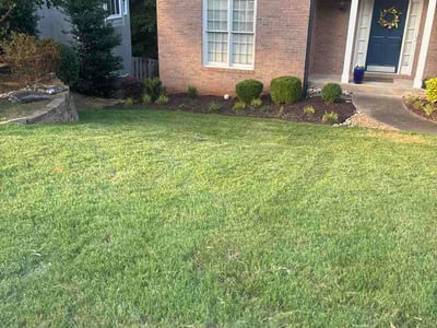 Lawn Care service in Oceanside, 92054