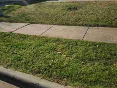 Lawn Care service in Oceanside, 92054