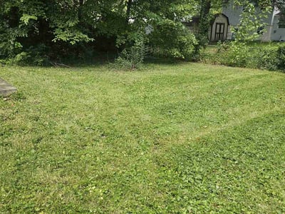 Lawn Care service in Gainesville, 20155