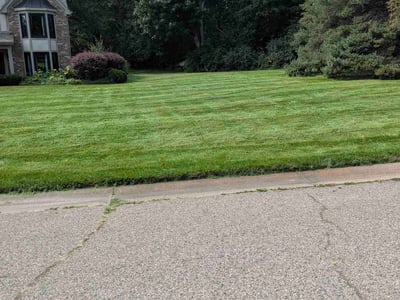 Lawn Care service in Madison Heights, 48071