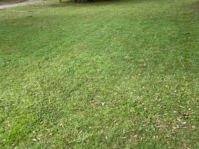 Lawn Care service in Port Orange, 32127
