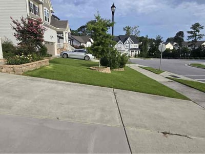 Lawn Care service in Youngsville, 27596