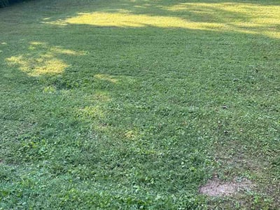 Lawn Care service in Marion, 37347