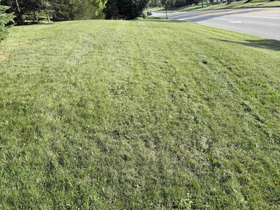 Lawn Care service in Aurora, 44202