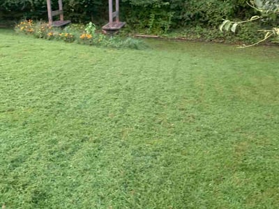 Lawn Care service in Havre De Grace, 21078