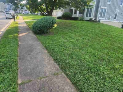 Lawn Care service in Havre De Grace, 21078