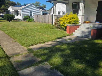Lawn Care service in Burke, 22015