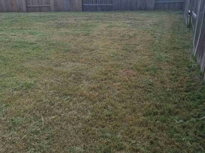 Lawn Care service in Princeton, 75407