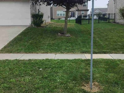 Lawn Care service in Burke, 22015