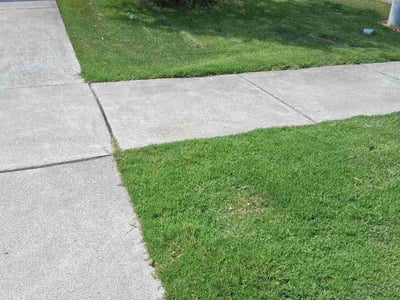Lawn Care service in Fuquay Varina, 27526