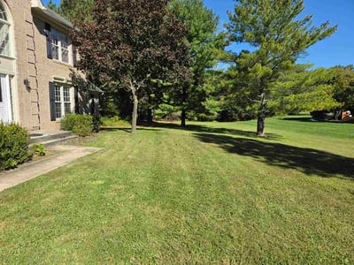 Lawn Care service in District Heights, 20747