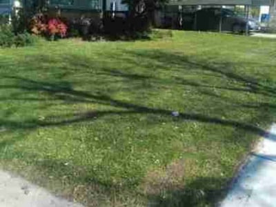 Lawn Care service in Quinlan, 75474