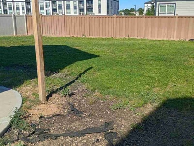 Lawn Care service in Santee, 92071