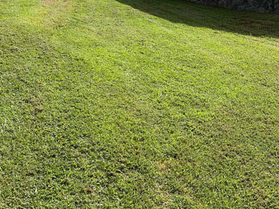Lawn Care service in Tustin, 92780