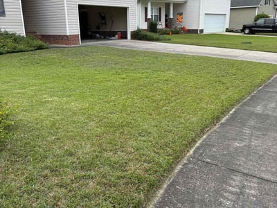 Lawn Care service in Murrells Inlet, 29576
