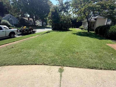 Lawn Care service in Randleman, 27317