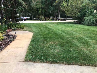 Lawn Care service in Randleman, 27317