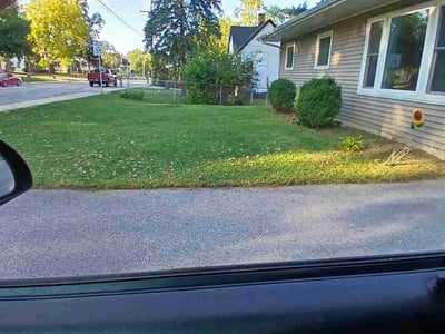 Lawn Care service in Highland, 46322