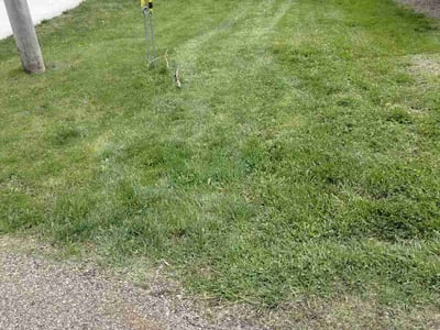 Lawn Care service in Canton, 44702