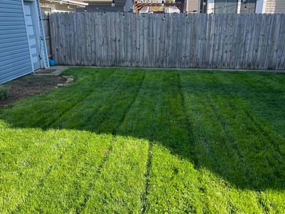 Lawn Care service in Newark, 43055