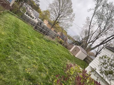 Lawn Care service in Port Huron, 48060