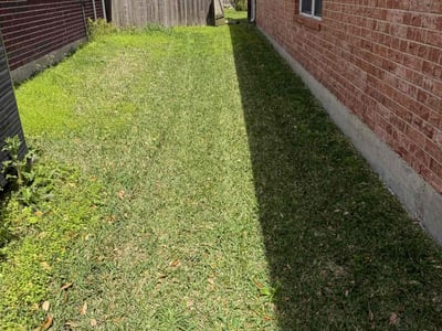 Lawn Care service in Escondido, 92025