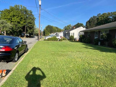 Lawn Care service in Reidsville, 27320