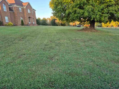 Lawn Care service in Powell, 37849
