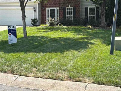Lawn Care service in South Park, 28210