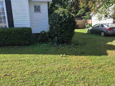 Lawn Care service in Zebulon, 27597