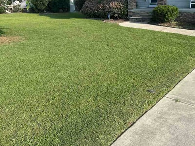 Lawn Care service in Knightdale, 27545