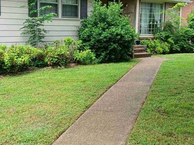 Lawn Care service in Burns, 37029