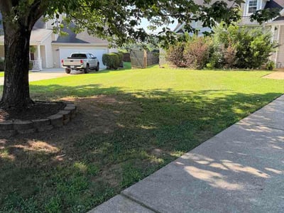 Lawn Care service in Hillsborough, 27278
