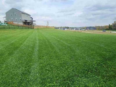 Lawn Care service in Xenia, 45385