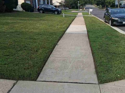 Lawn Care service in Temple Hills, 20748