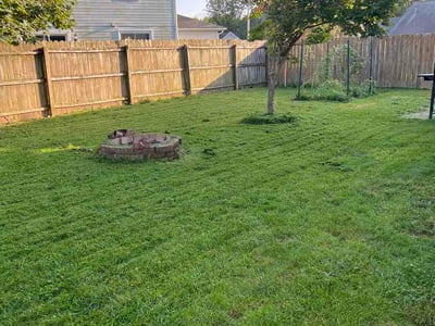 Lawn Care service in Xenia, 45385