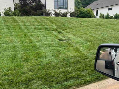 Lawn Care service in Pelzer, 29669