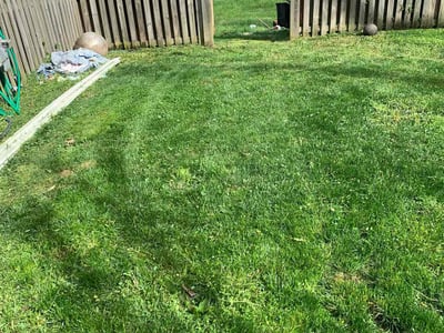 Lawn Care service in Temple Hills, 20748