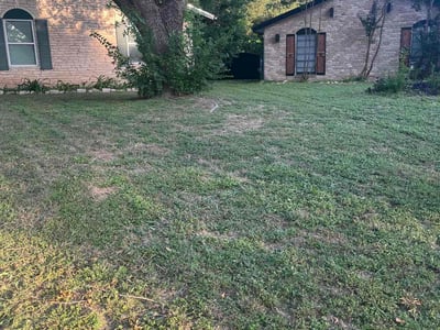 Lawn Care service in Fair Oaks, 95628