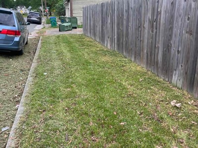 Lawn Care service in Carlsbad, 92008