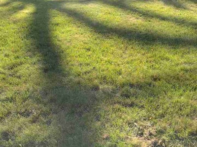 Lawn Care service in Fowlerville, 48836