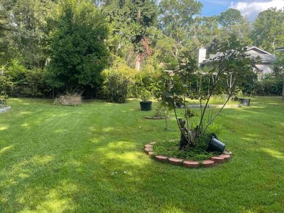 Lawn Care service in Pelzer, 29669
