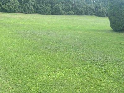 Lawn Care service in Clayton, 27520